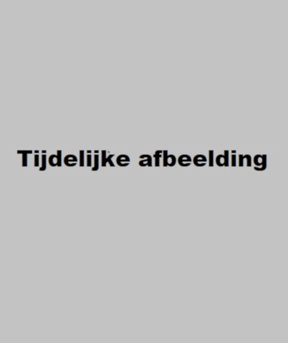 Interacties in werksituaties / Dimensie / 202